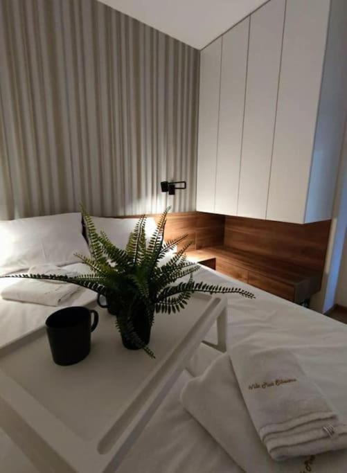 Pino Marengo Apartment *