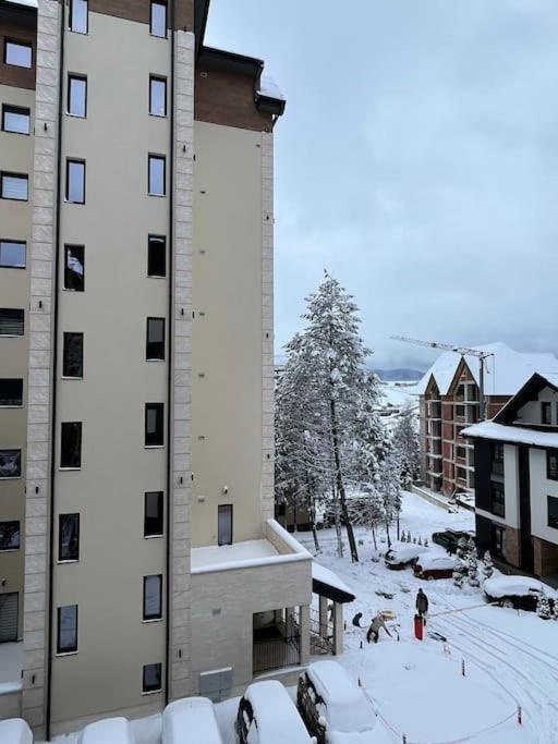 Apartment Pino Marengo