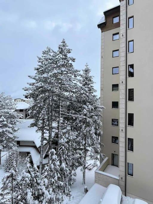 Apartment Pino Marengo Zlatibor