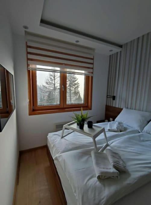 Apartment Pino Marengo